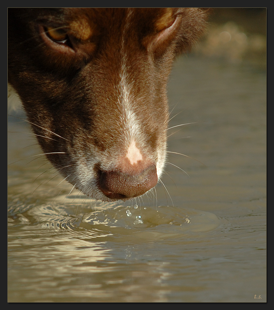 Wasserspiel