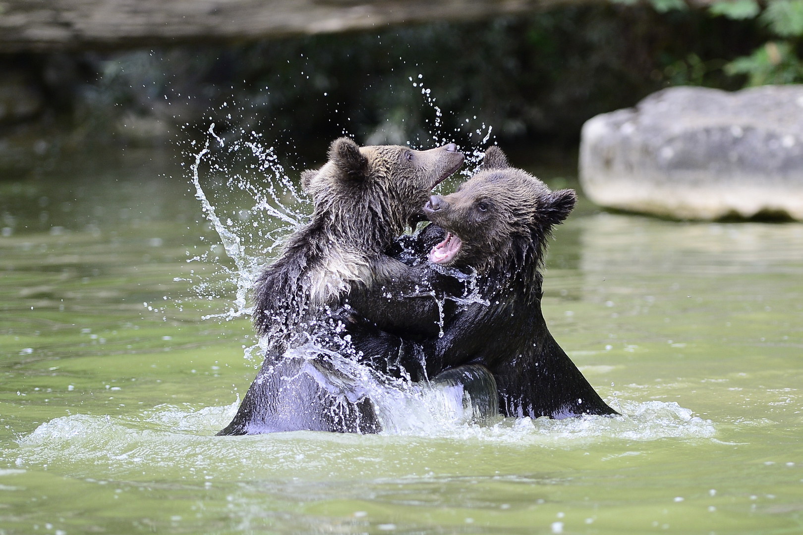 Wasserspiel