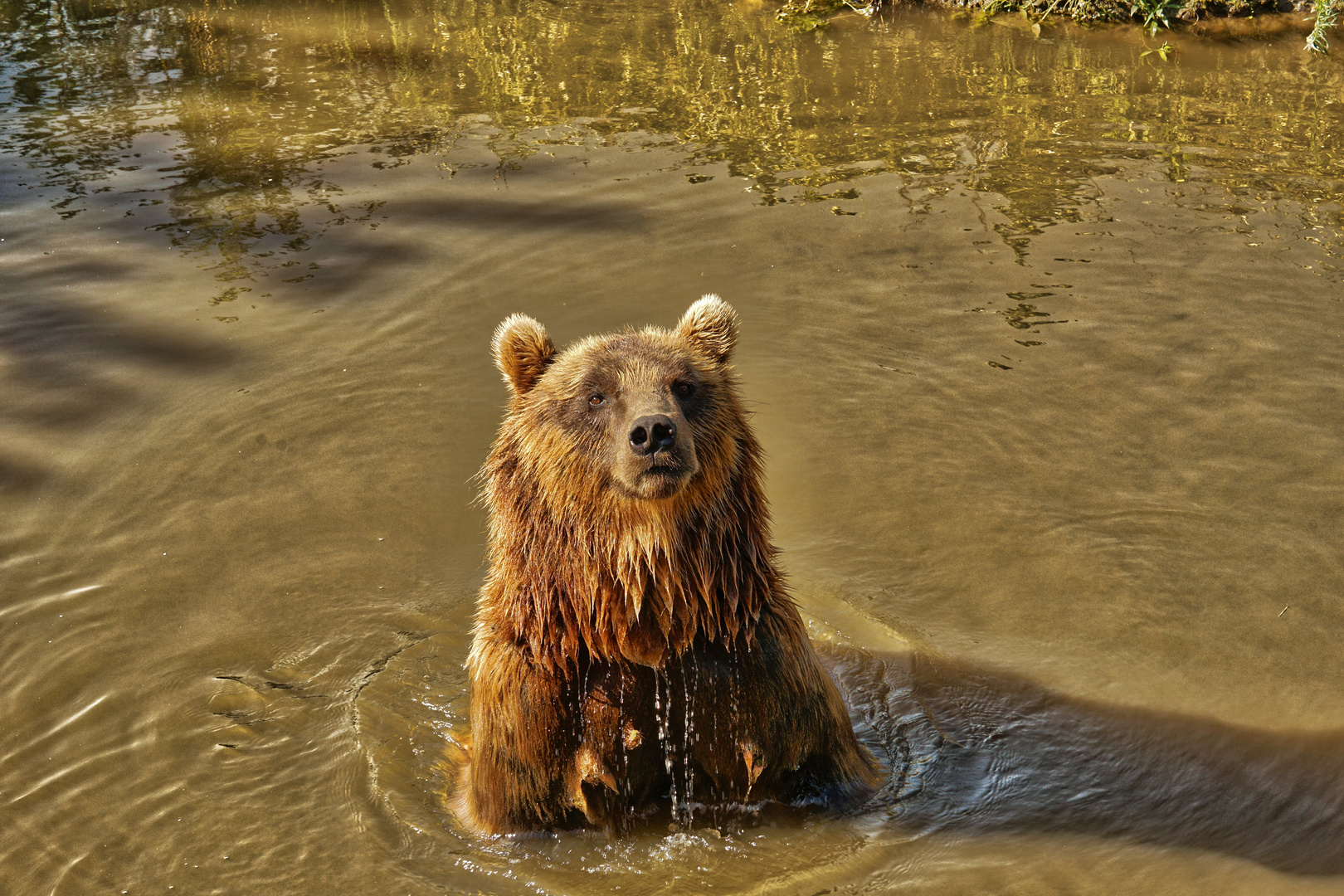 Wasserspiel