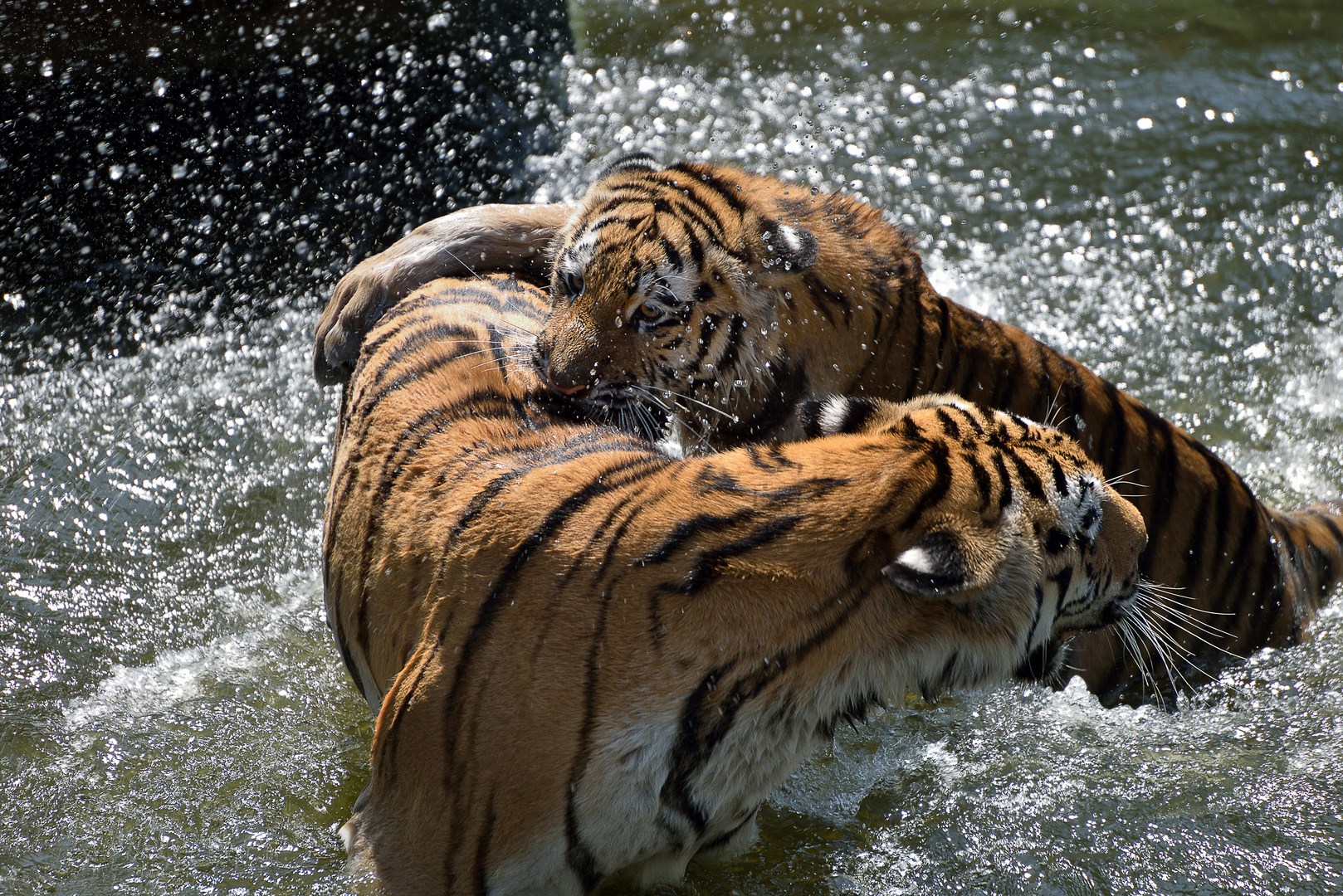 Wasserspiel