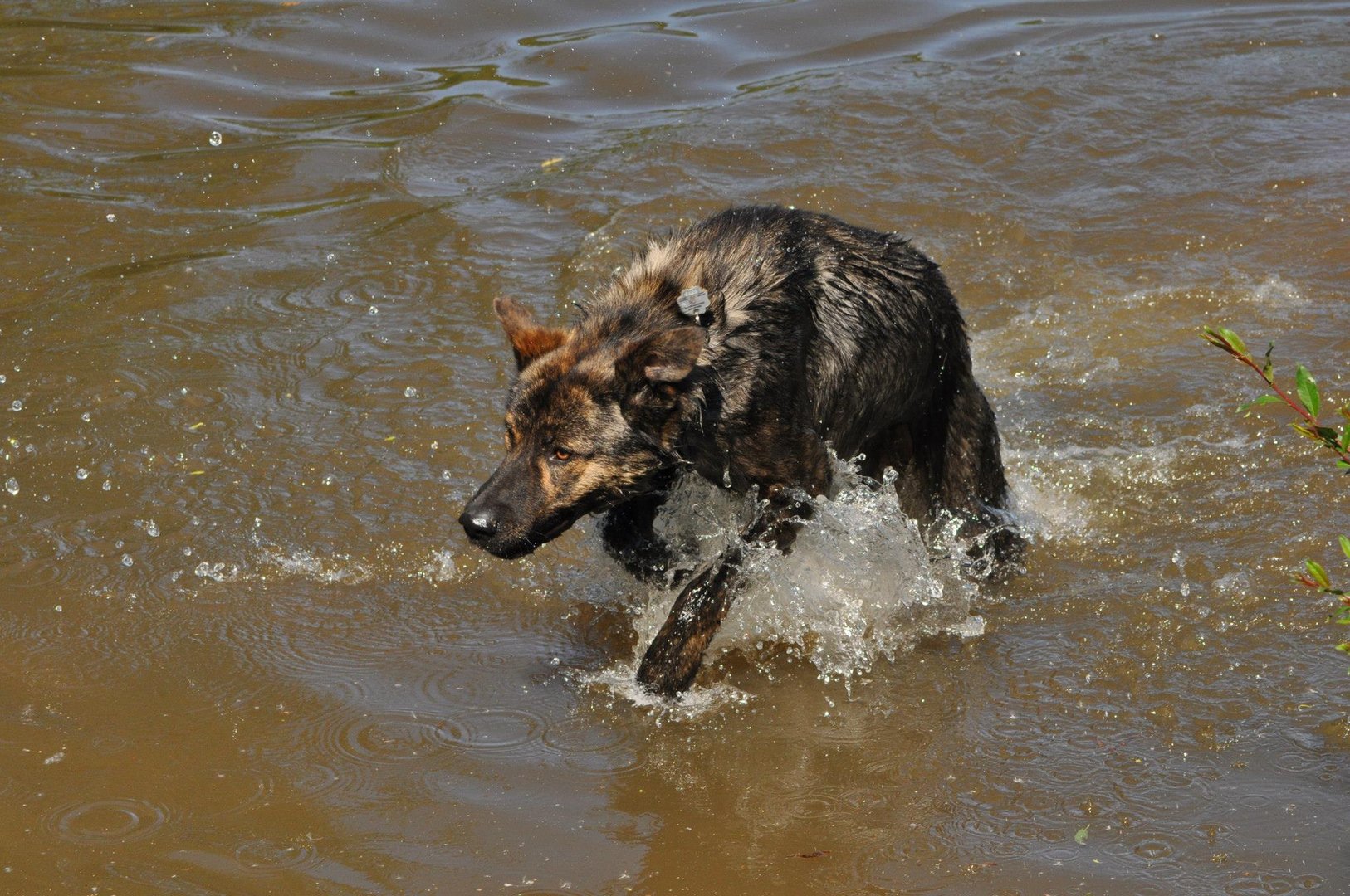 Wasserspiel