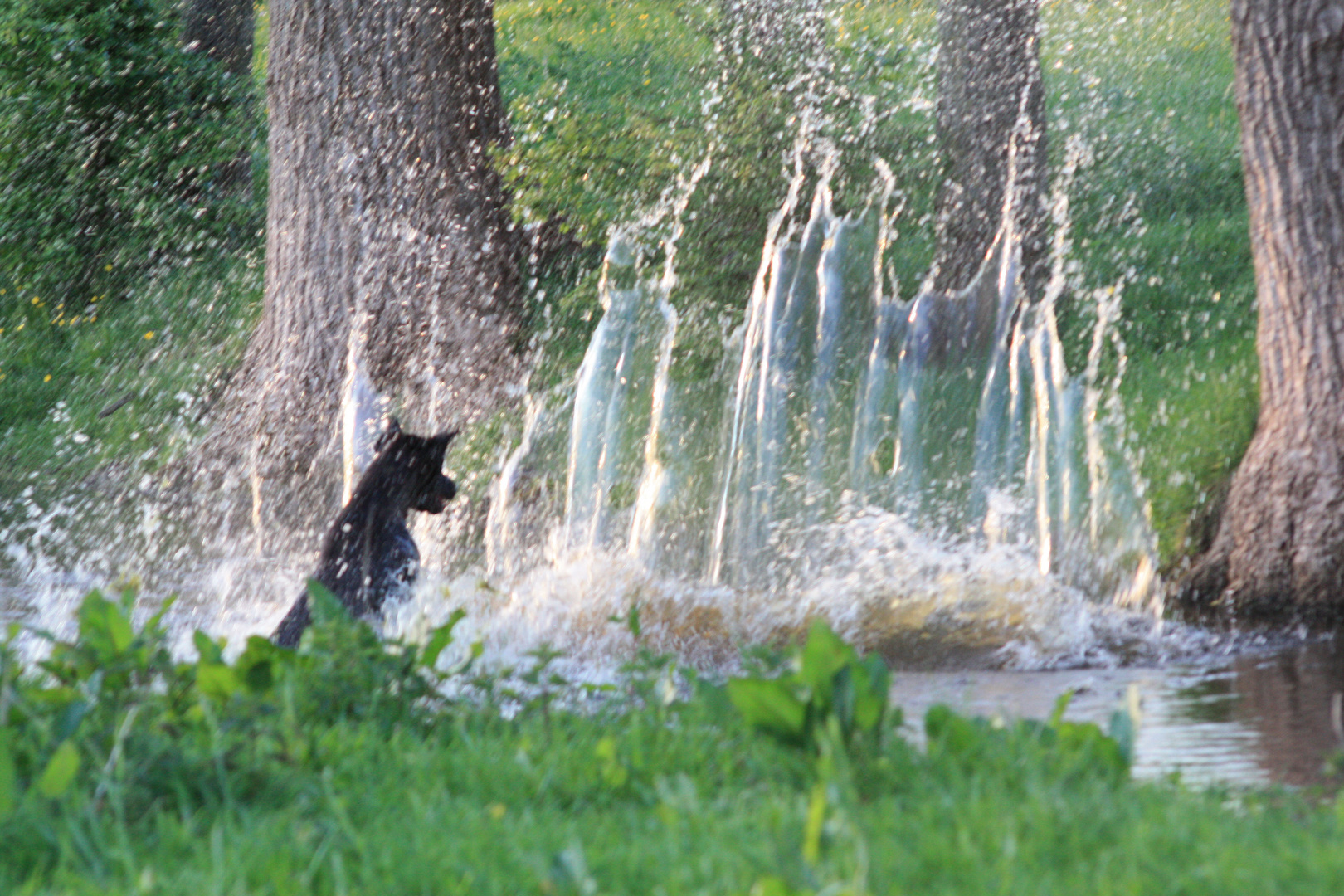 Wasserspiel