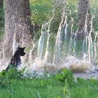 Wasserspiel