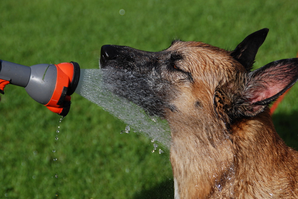 Wasserspiel