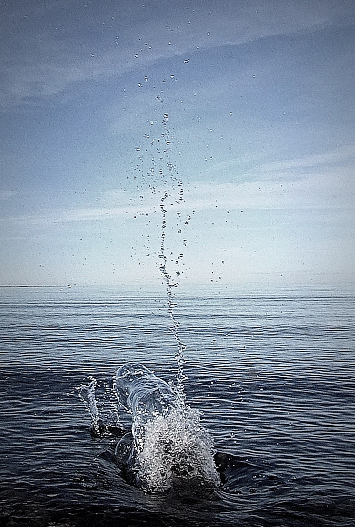 Wasserspiel