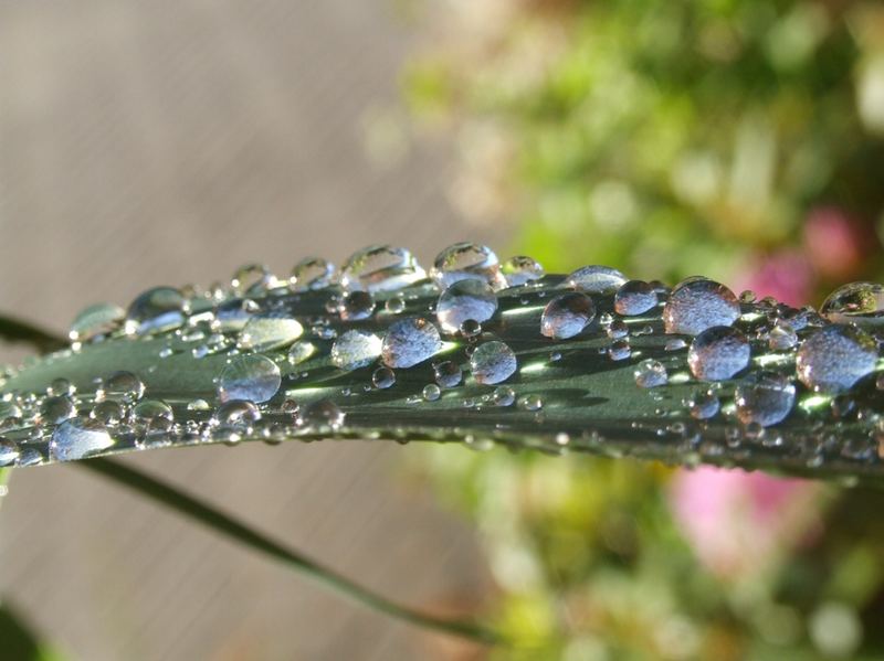 Wasserspiel