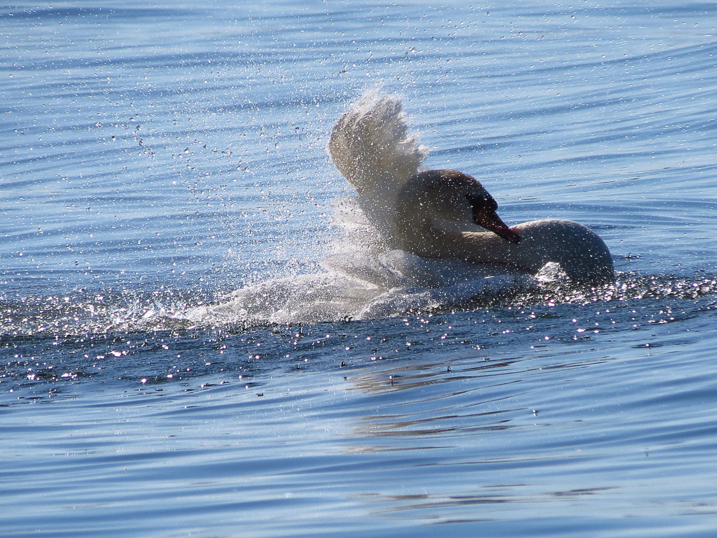 Wasserspiel