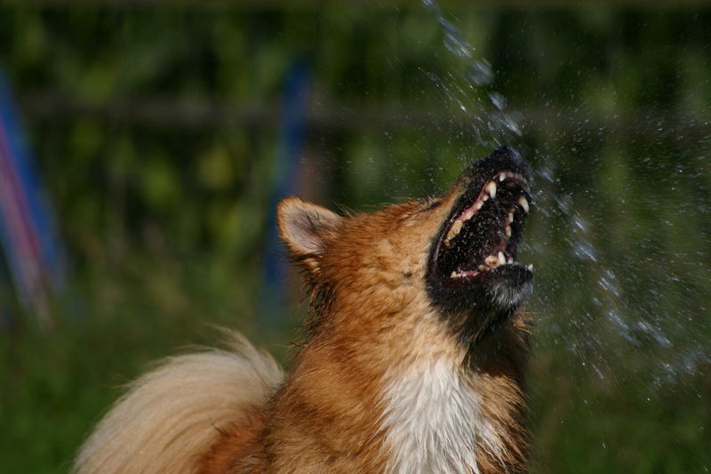 Wasserspiel