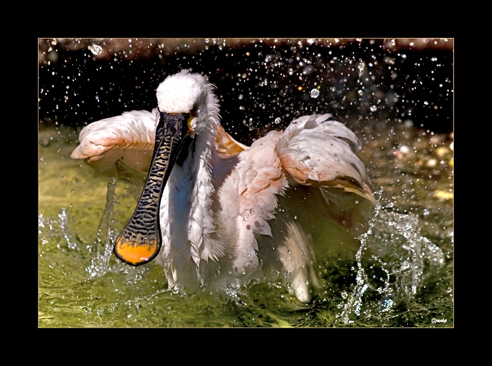 Wasserspiel