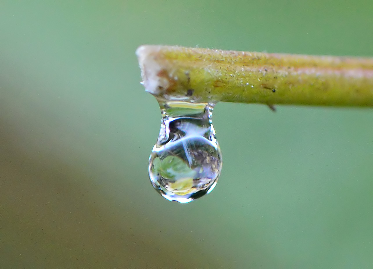 Wasserspiel