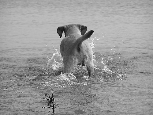 Wasserspiel