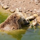 Wasserspiel !