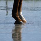 Wasserspiel