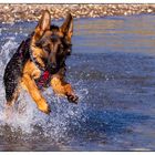 Wasserspiel am Rhein