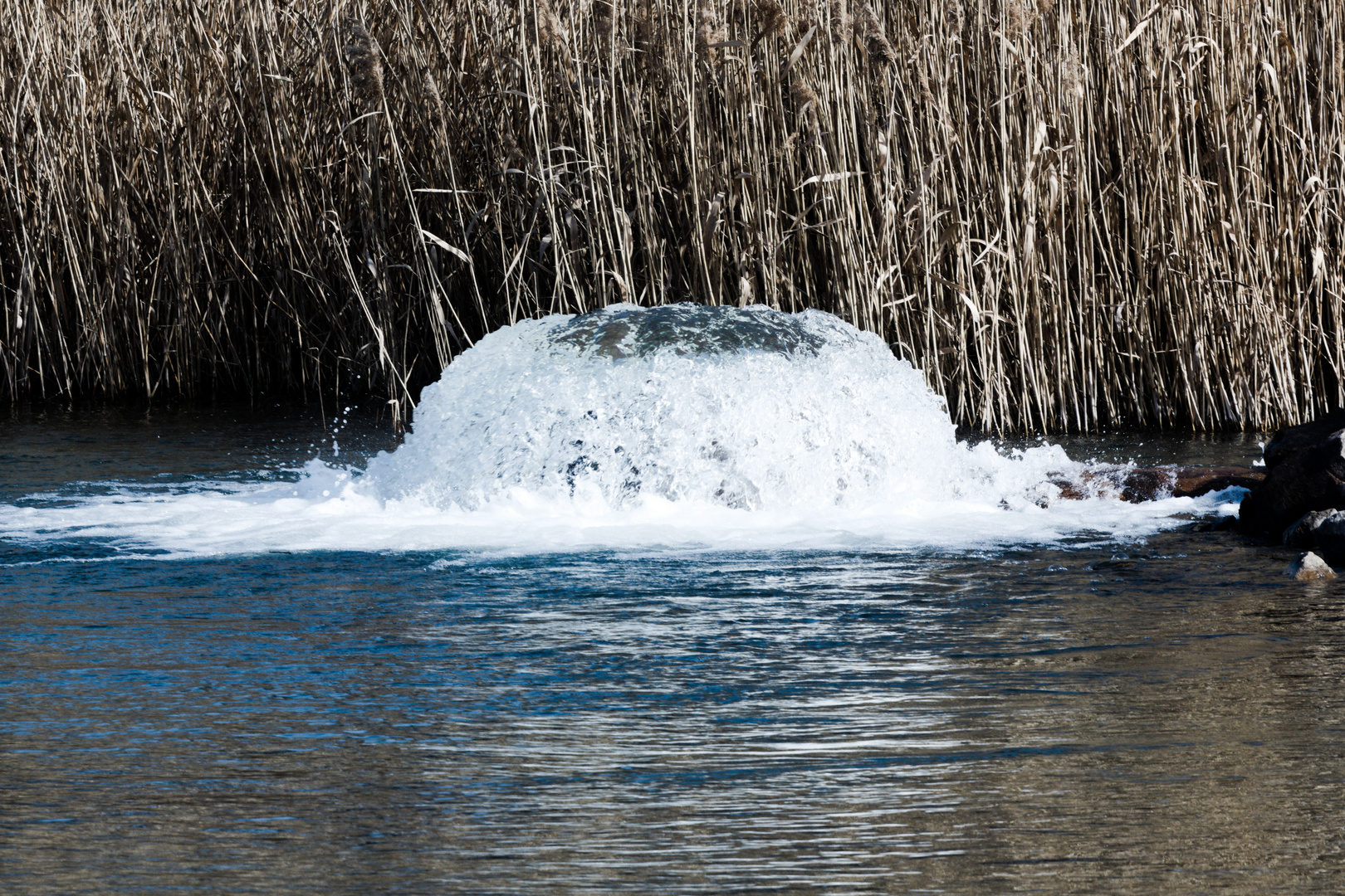 Wasserspiel amCossi