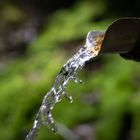 Wasserspiel an der Eisenquelle