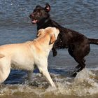 Wasserspiel auf 8 Beinen