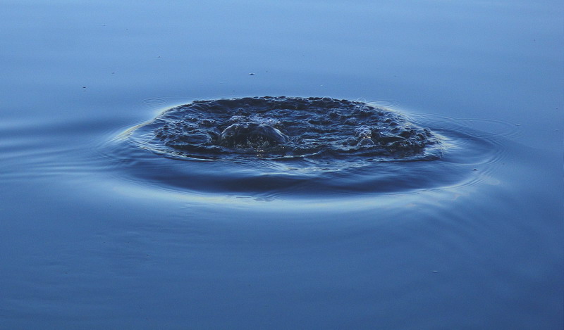 * Wasserspiel auf dem See *