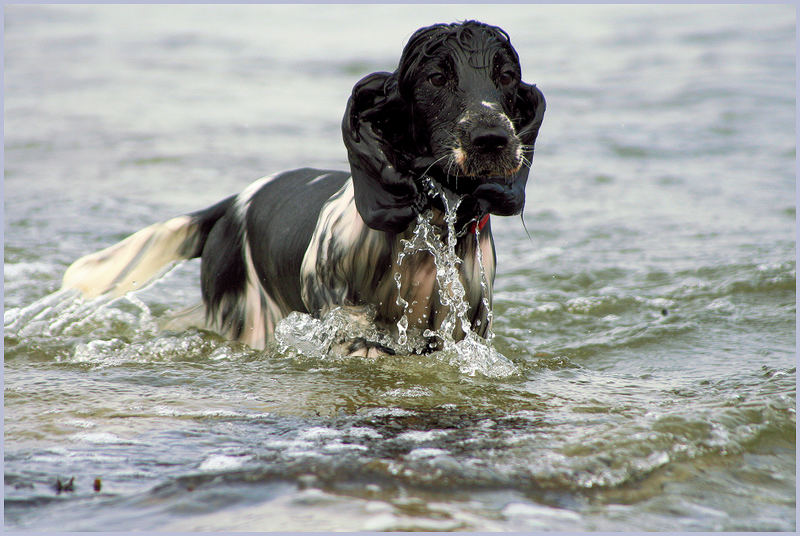 Wasserspiel