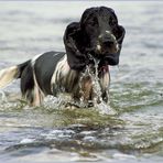 Wasserspiel