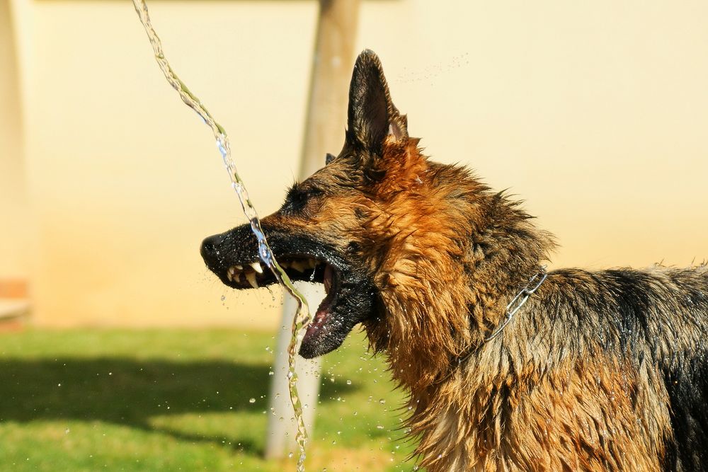 Wasserspiel