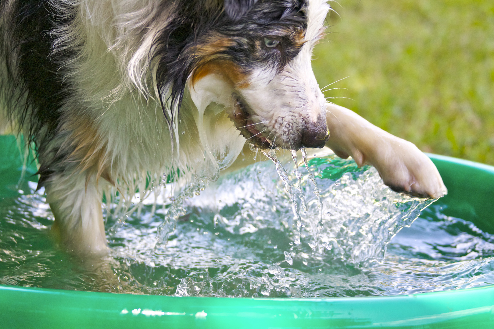 wasserspiel