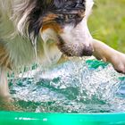 wasserspiel