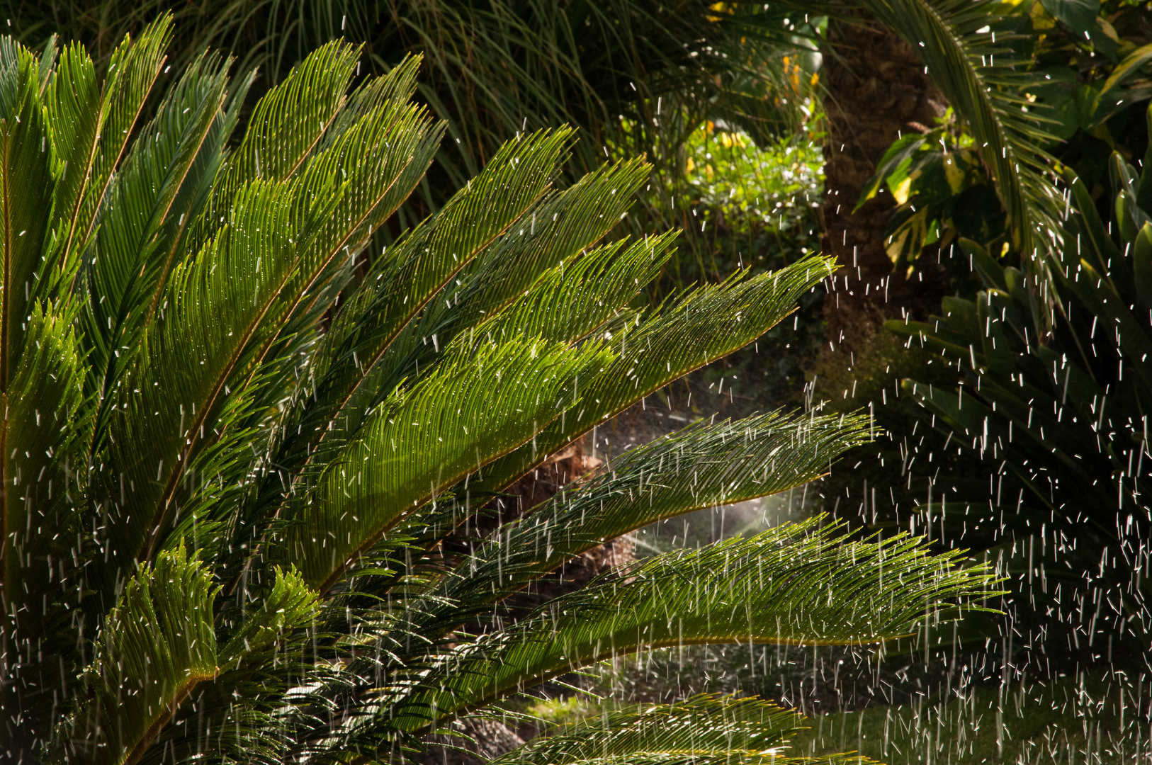 Wasserspiel