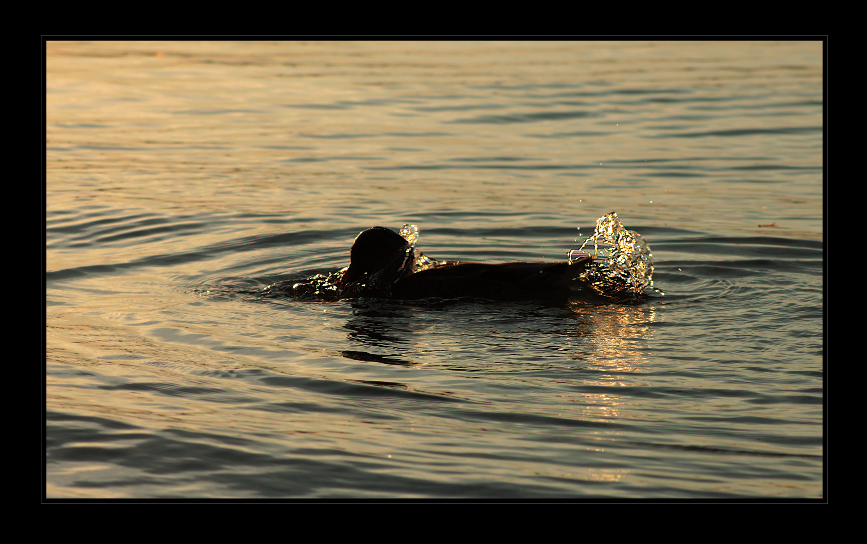 Wasserspiel