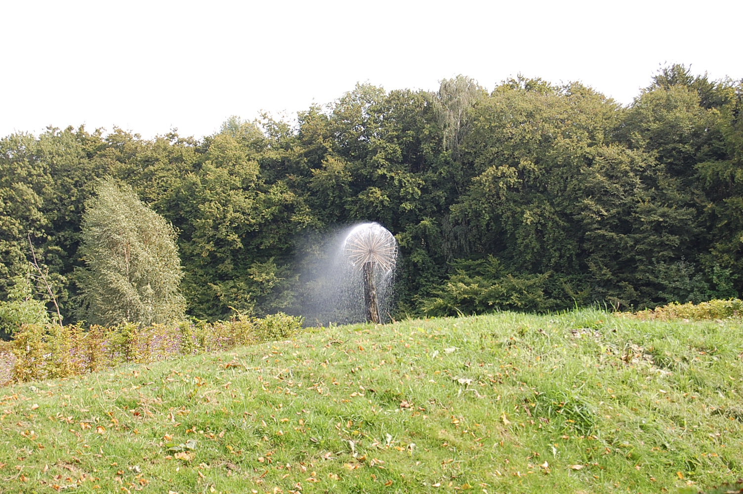 Wasserspiel