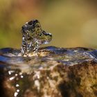 Wasserspiel