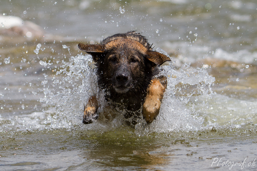 Wasserspiel