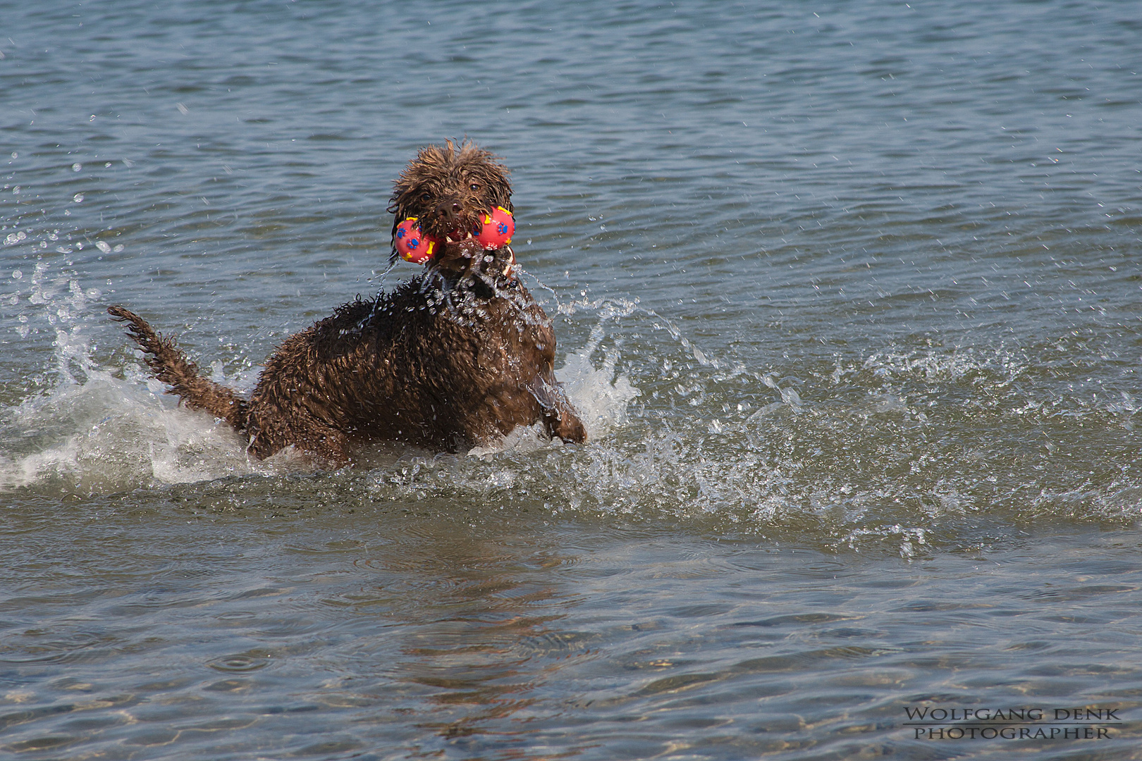 Wasserspiel