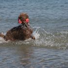 Wasserspiel