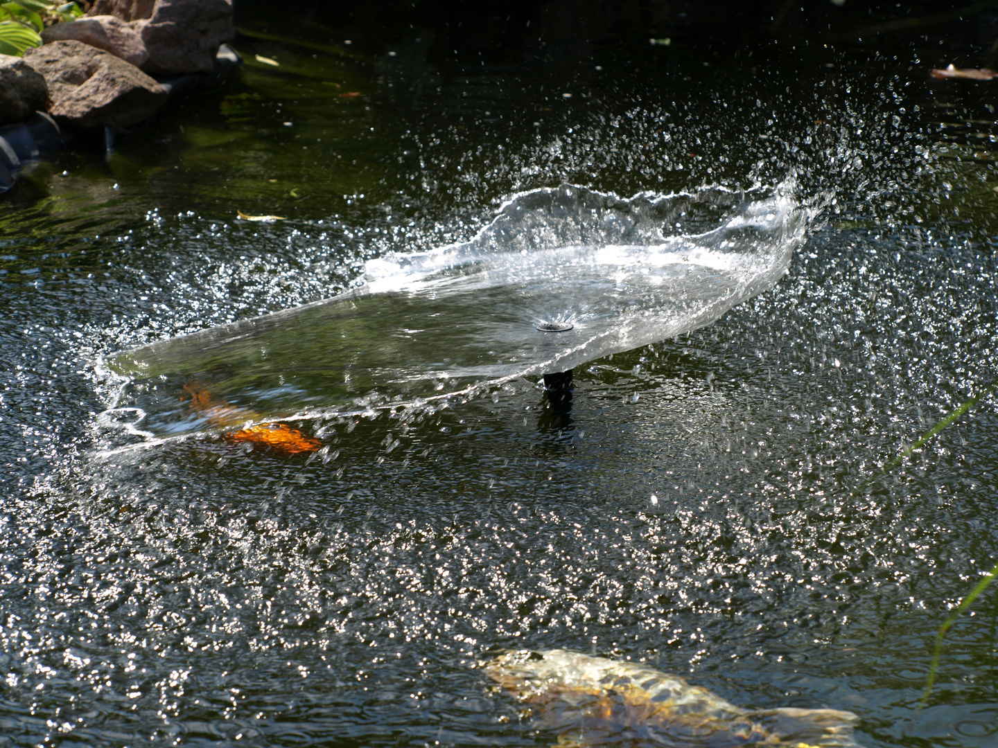 Wasserspiel