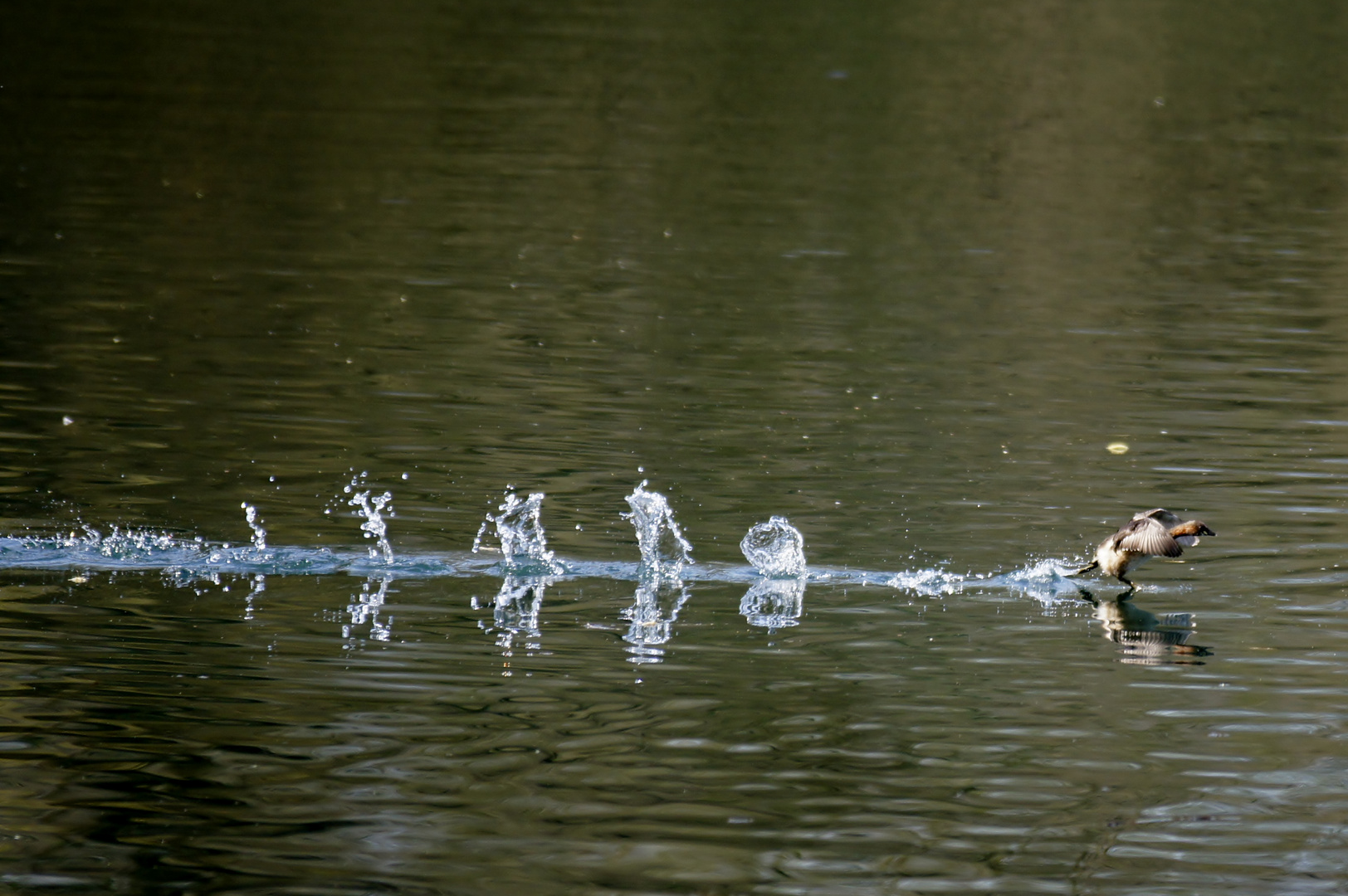 Wasserspiel