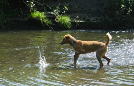 Wasserspiel