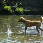 Wasserspiel