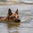 Wasserspiel gemütlich