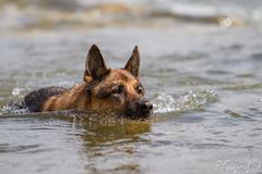 Wasserspiel gemütlich