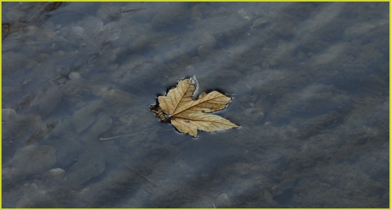 Wasserspiel-Herbst 1