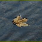 Wasserspiel-Herbst 1