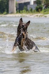 Wasserspiel II