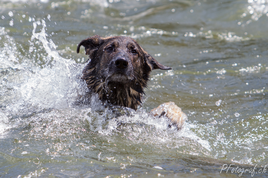 Wasserspiel III