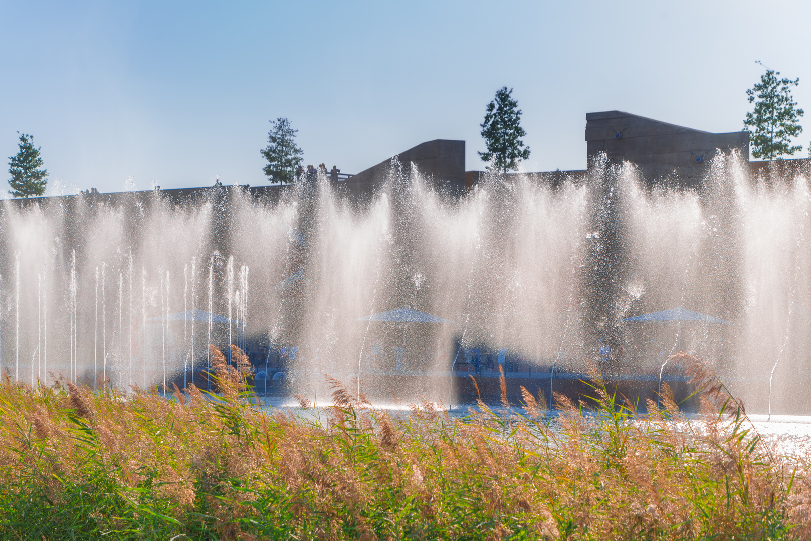 Wasserspiel im Gegenlicht