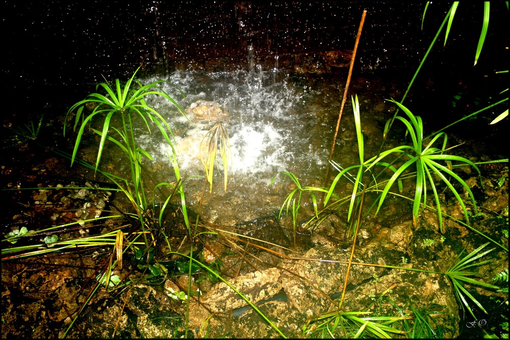 Wasserspiel im Oldenburger Schlossgarten