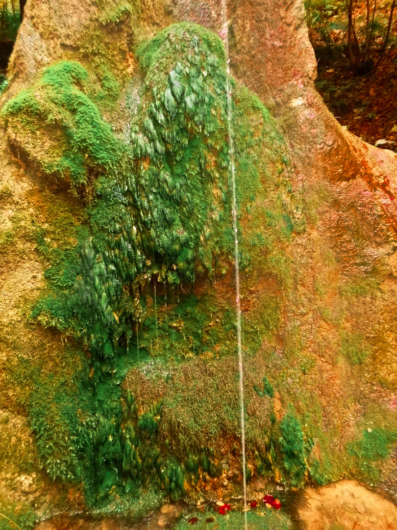 Wasserspiel im Wald (Haibach) 2