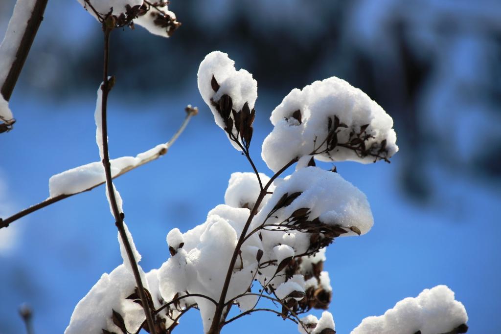 Wasserspiel mal anders -> Schnee-Last