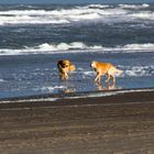 Wasserspielchen