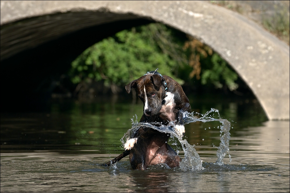 wasserspielchen